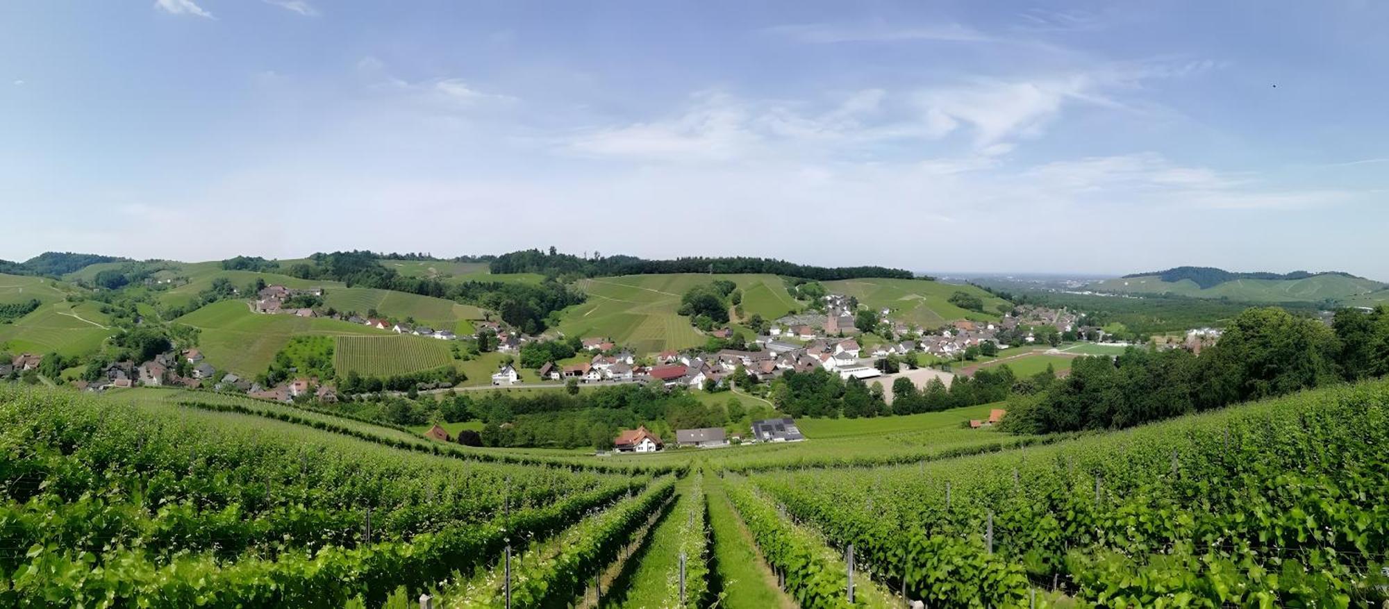 Ferienwohnung Huschle Kappelrodeck Esterno foto